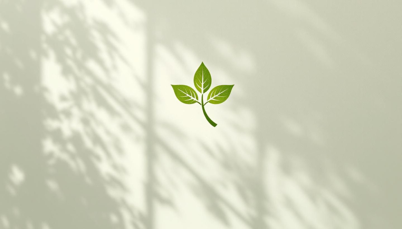 Comment choisir un hébergeur web respectueux de l'environnement ?